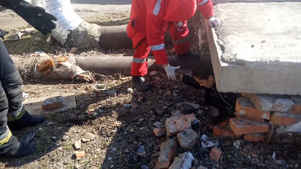 Дніпрянка з невідомих причин залізла під бетонну плиту колектора та не могла вибратись (фото/відео)