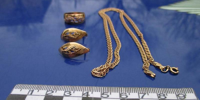 Громадянин іншої держави пограбував дніпровську пенсіонерку (фото/відео)