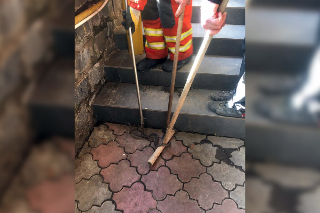 В центральному районі Дніпра до кафе “завітали” плазуни
