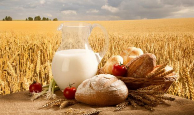 Уряд пропонує знизити ставку ПДВ до 14% на всі види сільгосппродукції