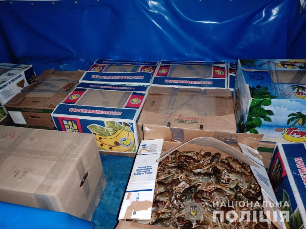Під час нерестової заборони нікопольські копи вилучили 330 кг раків