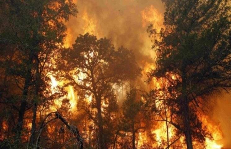 5 травня по Україні очікується надзвичайний рівень пожежної небезпеки