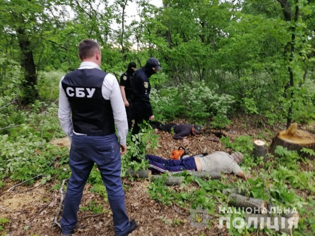 На Дніпропетровщині викрили злочинну групу, яка вирубувала ліс