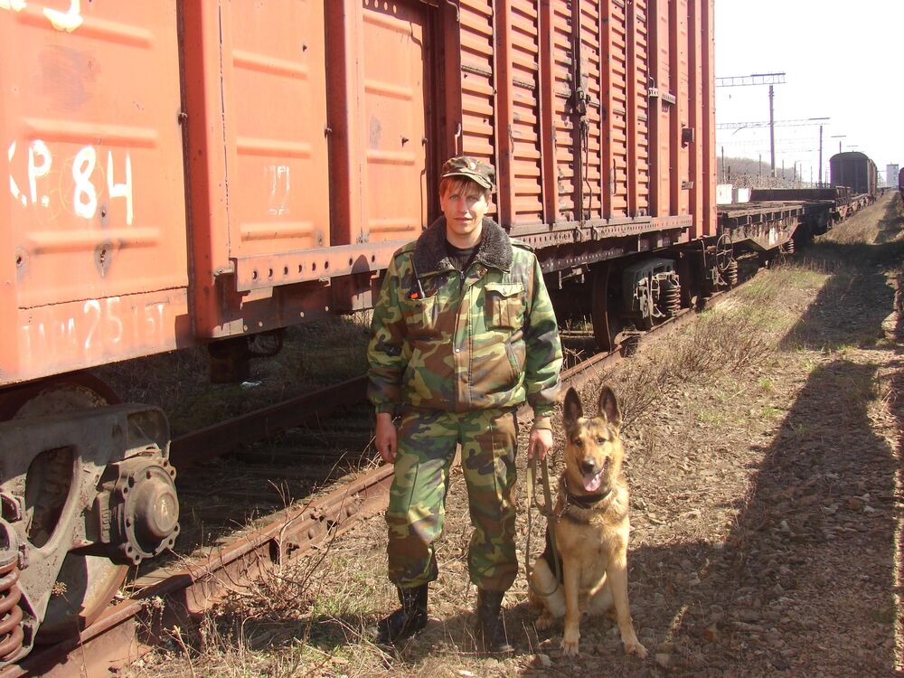 «Укрзалізниця» та правоохоронці затримали групу розкрадачів рухомого складу