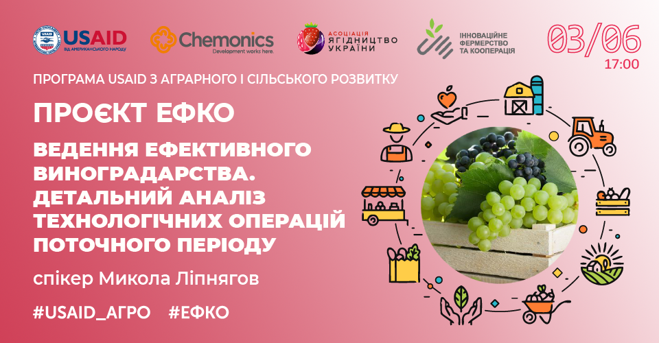 Представників агробізнесу запрошують на онлайн тренінг щодо ведення ефективного виноградарства