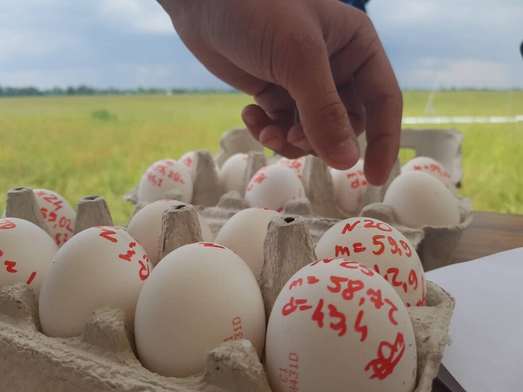 У Дніпрі запускатимуть моделі ракет з вантажем у вигляді сирих курячих яєць