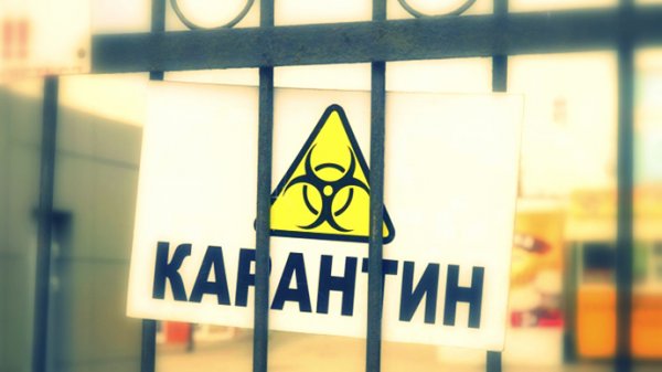 МОЗ хоче запровадити 14-денний карантин для всіх, хто в’їжджає в країну й не зробив щеплення