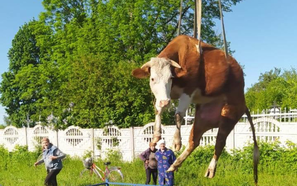 Кого та як рятували надзвичайники Дніпропетровщини 5-6 липня?