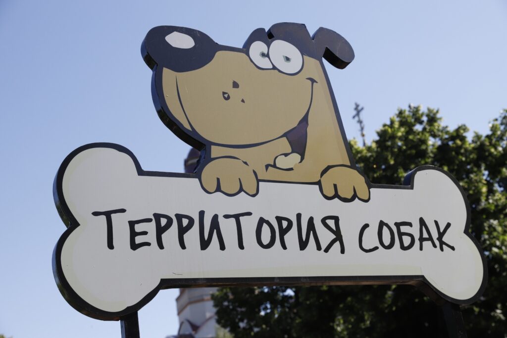 У Дніпрі планують побудувати майданчики для прогулянок з чотирилапими