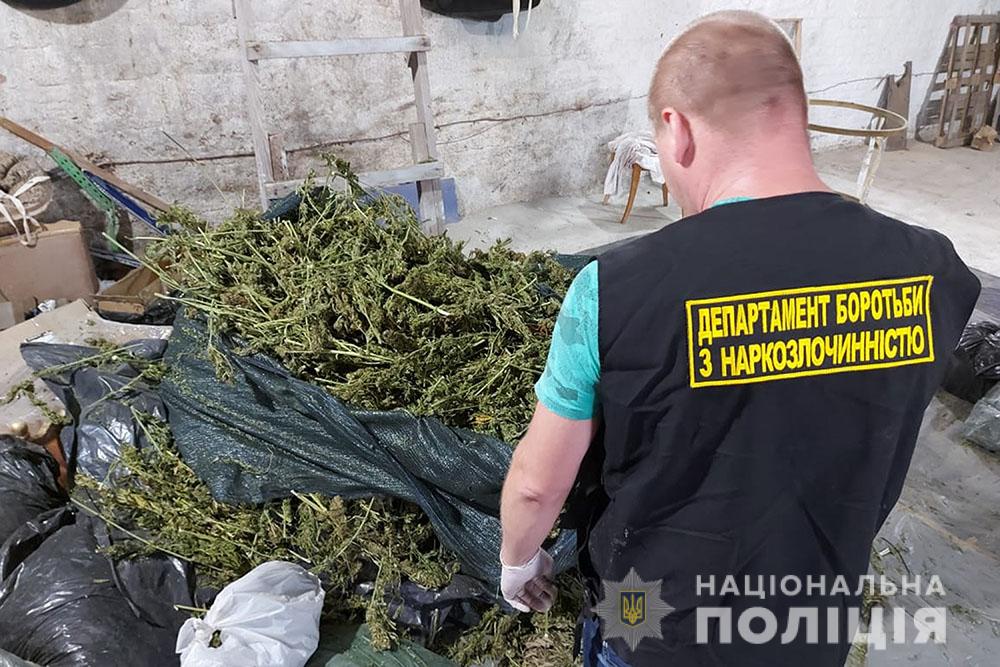 На Дніпропетровщині правоохоронці вилучають коноплі на мільйони гривень