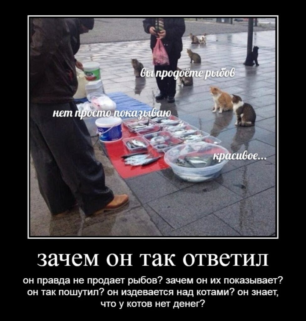 «Какое все красивое!»