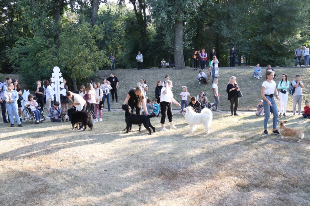 У парку Шевченка пройшов кінологічний фестиваль