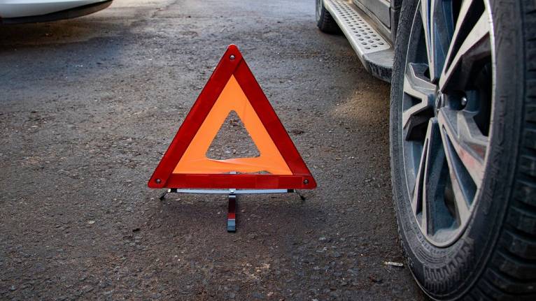 У Дніпрі ВАЗ на смерть збив хлопчика з собакою