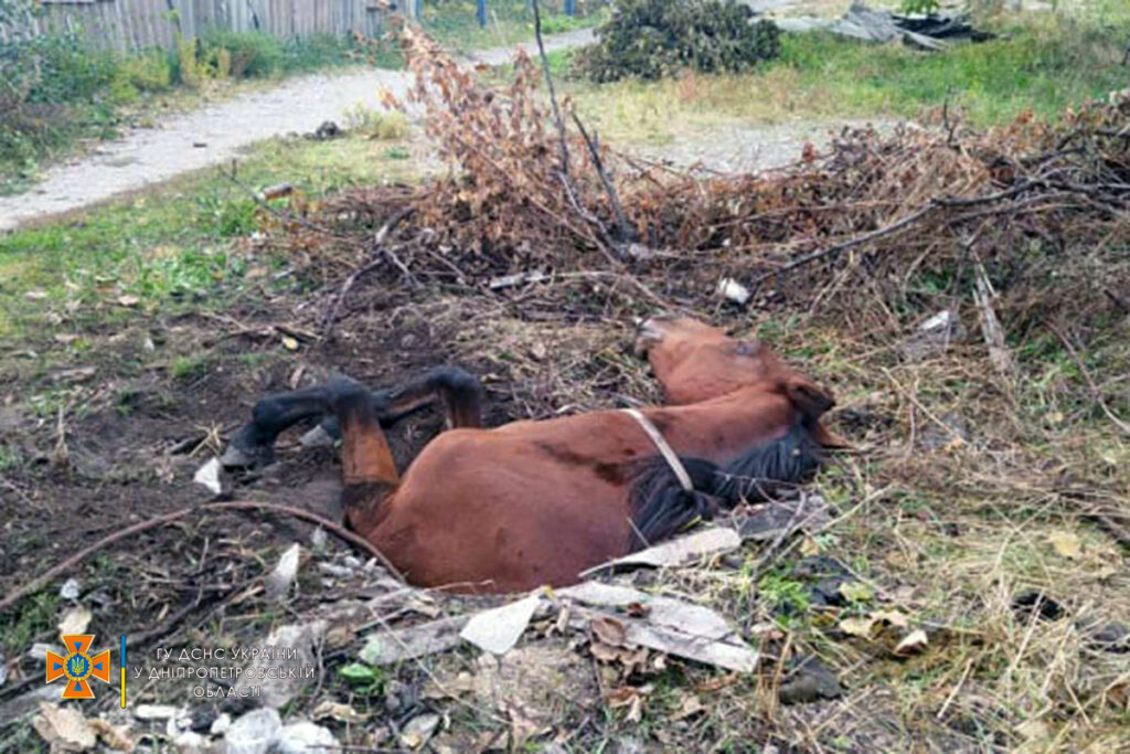 Кого та як рятували надзвичайники Дніпропетровщини 16-18 жовтня?