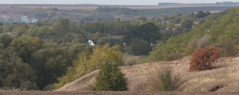 Понад 600 гектарів землі психінтернату хотіли передати в приватні руки