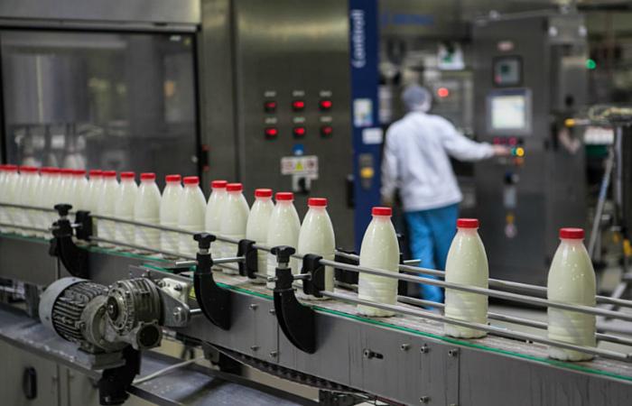 Українські виробники молочної продукції попереджають про можливе припинення роботи
