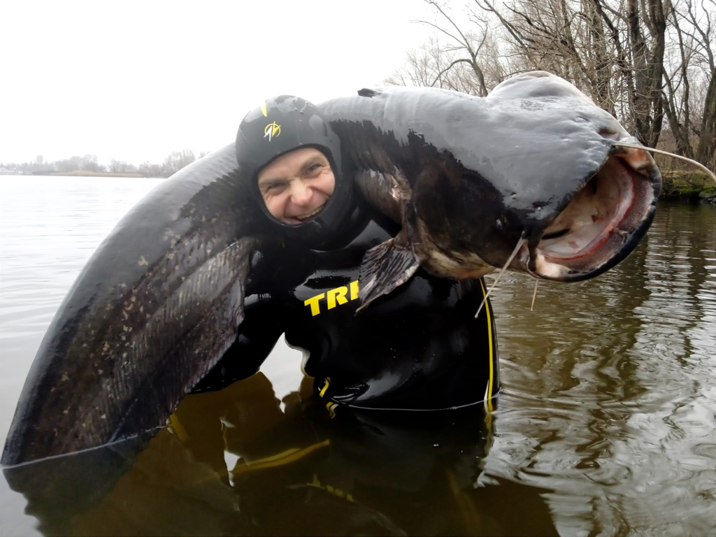 Дніпровский рибалка упіймав 50-кілограмового сома