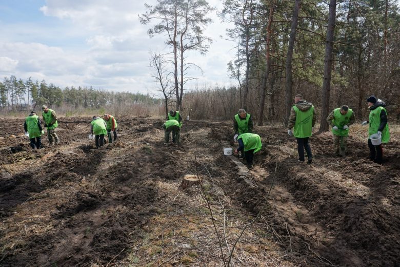 У обласній раді розповіли про напрямки роботи лісництв Дніпропетровщини на поточний рік