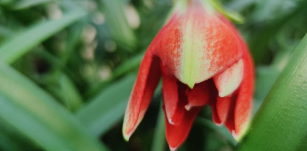 Жителям Днепропетровщины рассказали об особенностях весны в этом году