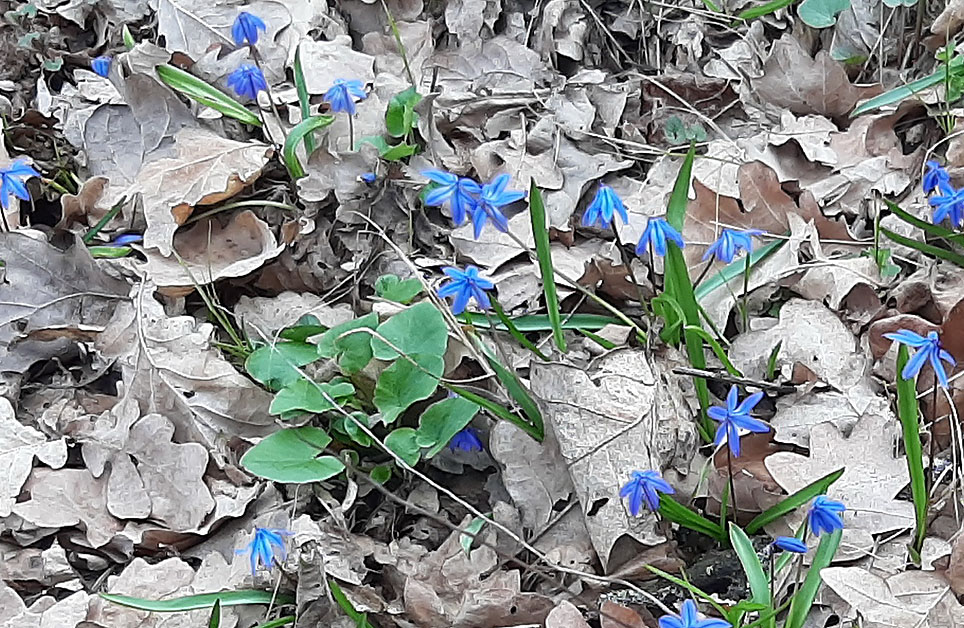 Прогноз погоды на март-2022