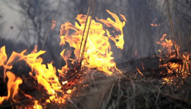 На Дніпропетровщині за добу сталося понад 30 пожеж в екосистемах