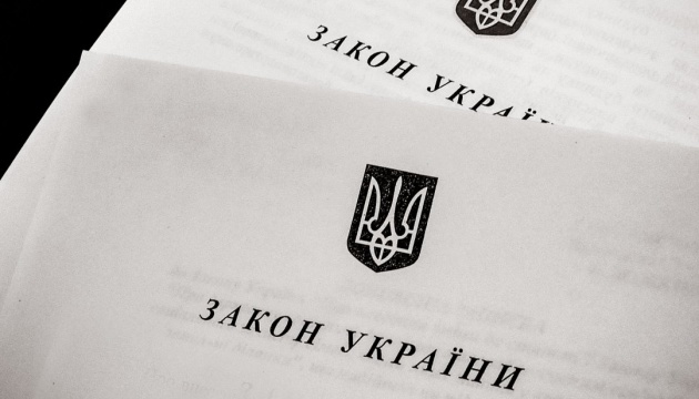 Движение сопротивления: какие изменения есть в новом законе Украины