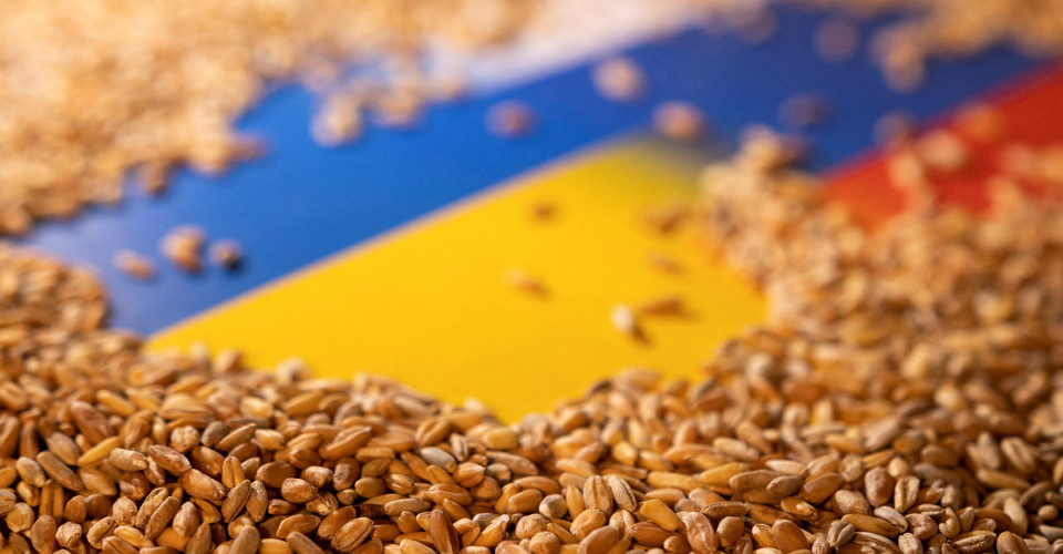 ООН розпочала новий проект підтримки українських аграріїв на 17 мільйонів доларів