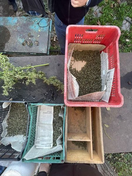 На Дніпропетровщині правоохоронці виявили місцевого наркодилера