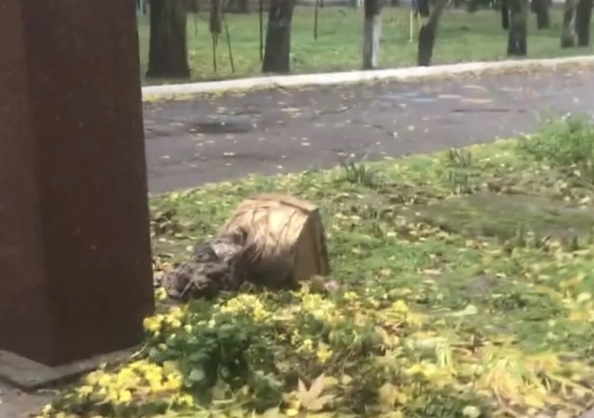У Нікополі впав бюст Пушкіна