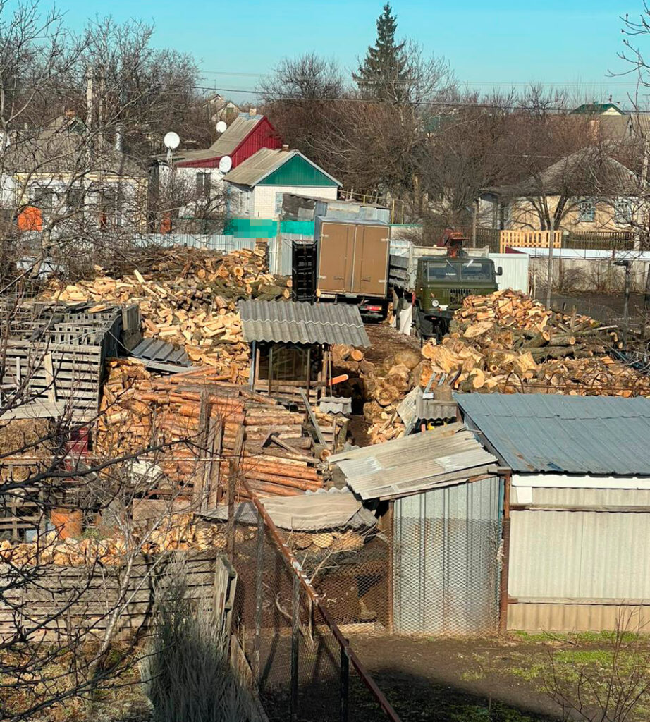 Незаконна вирубка лісу майже на 2 млн гривень: слідчі Дніпропетровщини задокументували діяльність злочинної групи