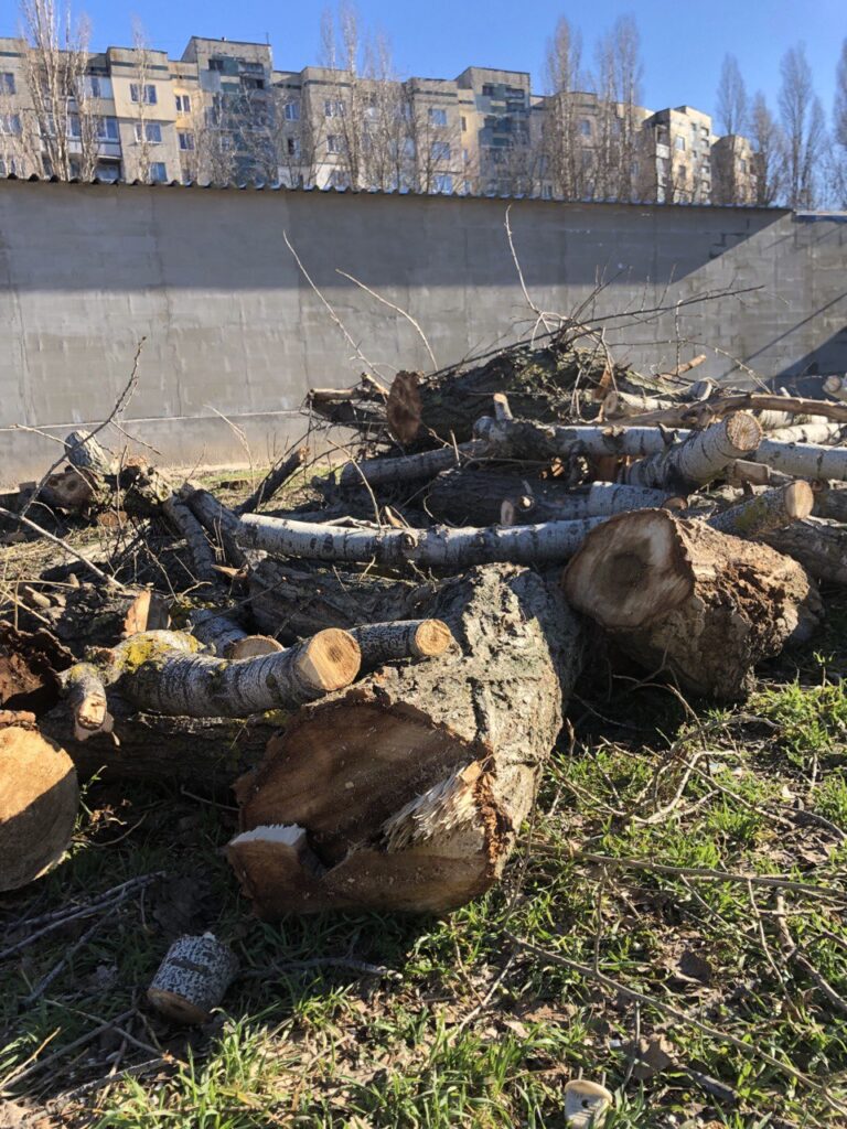 Мешканців Кам’янського непокоїть зникнення зелених насаджень