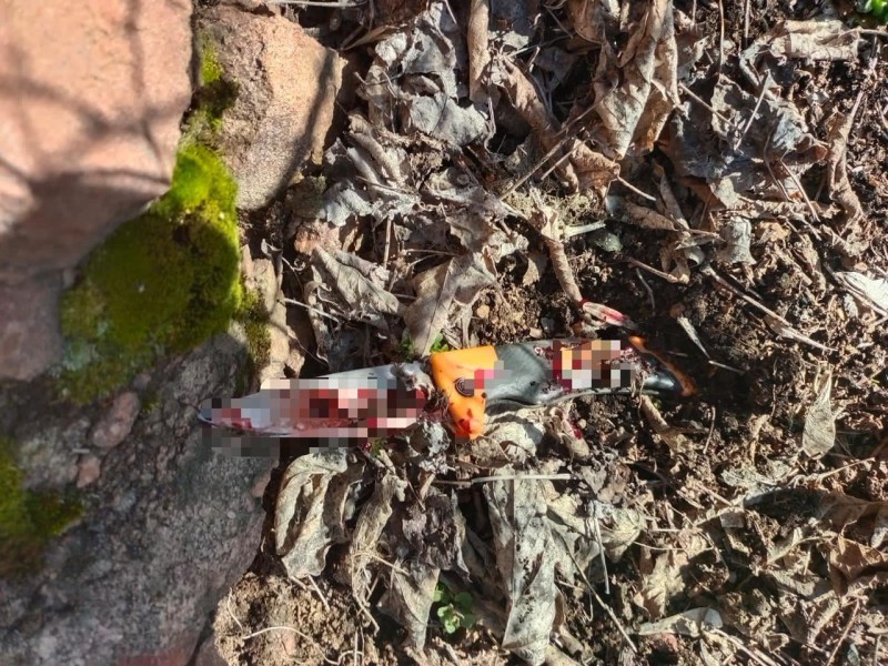 За вбивство місцевого жителя поліцейські Кривого Рогу затримали 60-річного чоловіка