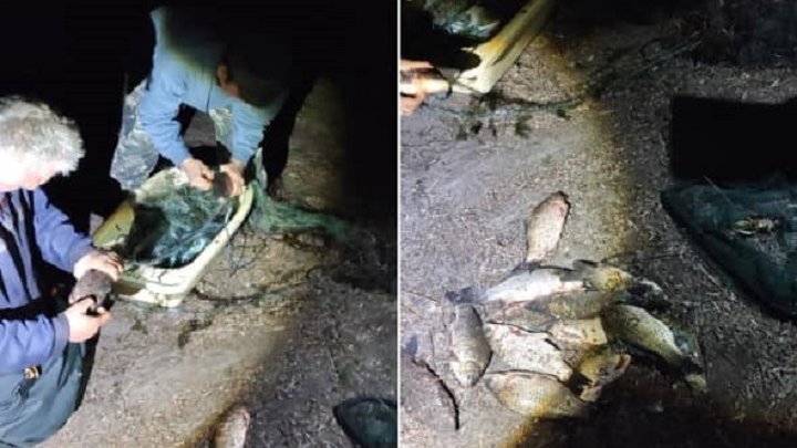 Понад 280 тисяч гривень збитків. На Дніпропетровщині за тиждень зафіксували 24 порушення вилову риби