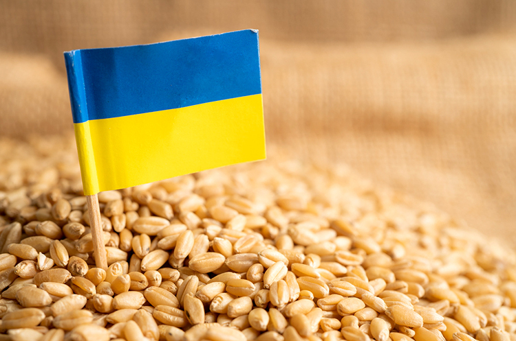 Єврокомісія відреагувала на рішення Польщі та Угорщини заборонити імпорт зерна з України