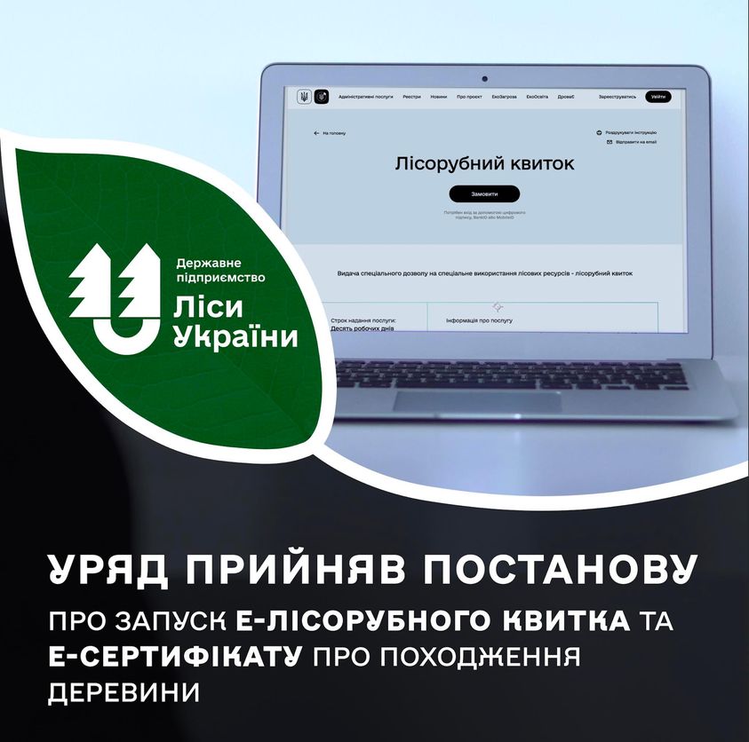 Із 1 червня в Україні запрацює електронний лісорубний квиток