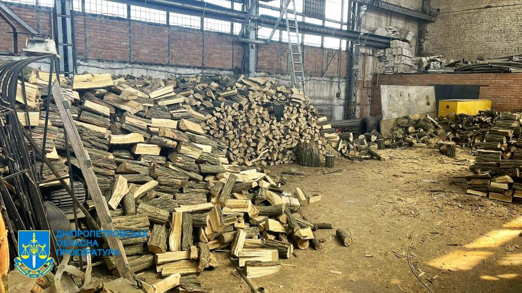 На Дніпропетровщині шістьох чоловіків судитимуть за незаконну порубку лісу на понад 2 млн грн (фото)