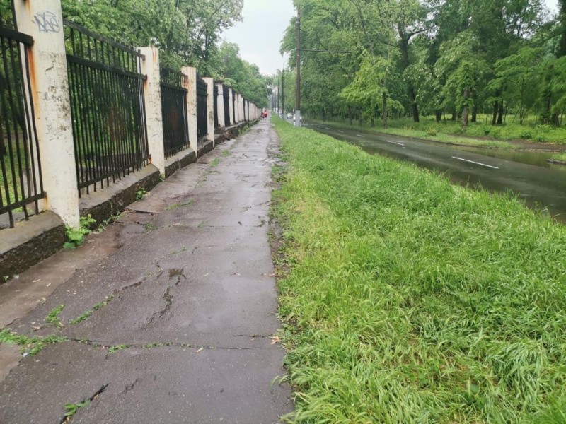 Повалив на землю та намагався зґвалтувати 16-річну дівчину: у Кривому Розі затримано нападника
