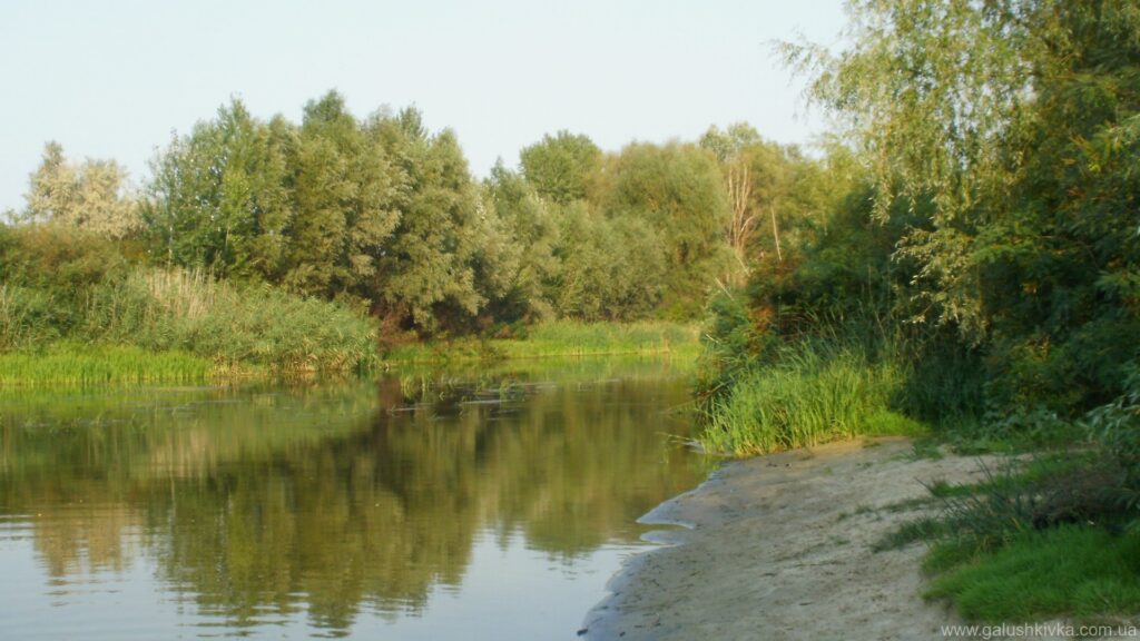 В Дніпропетровській області перевірили якість водоймищ: які результати