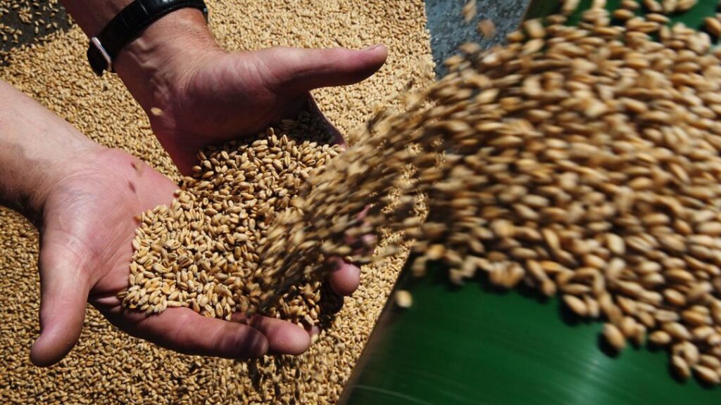 Ніхто з міжнародних партнерів поки не готовий охороняти судна України з зерном — посол