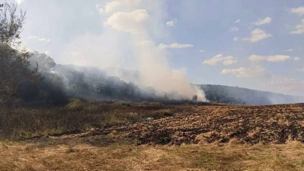 За добу на Дніпропетровщині згоріло майже 30 гектарів сухостою