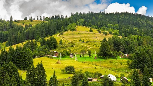 На відпочинок майже 11,5 тис дітей з Дніпропетровщини виділили кошти за програмою єОздоровлення