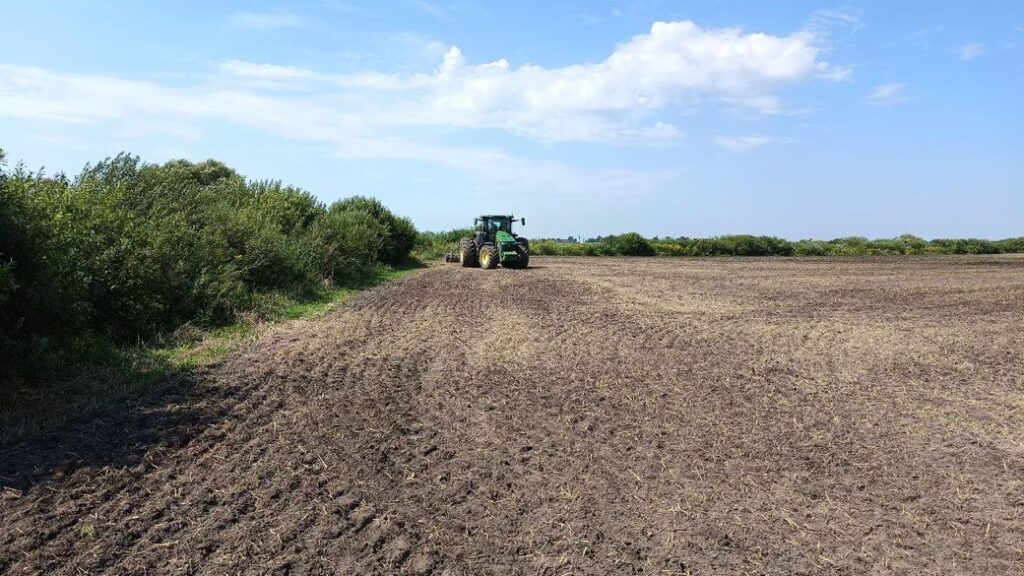 На Дніпропетровщині висаджують озимі культури