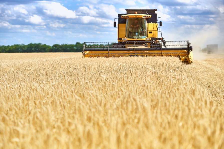 USAID надає українським аграріям 12 тисяч тонн добрив на осінню посівну