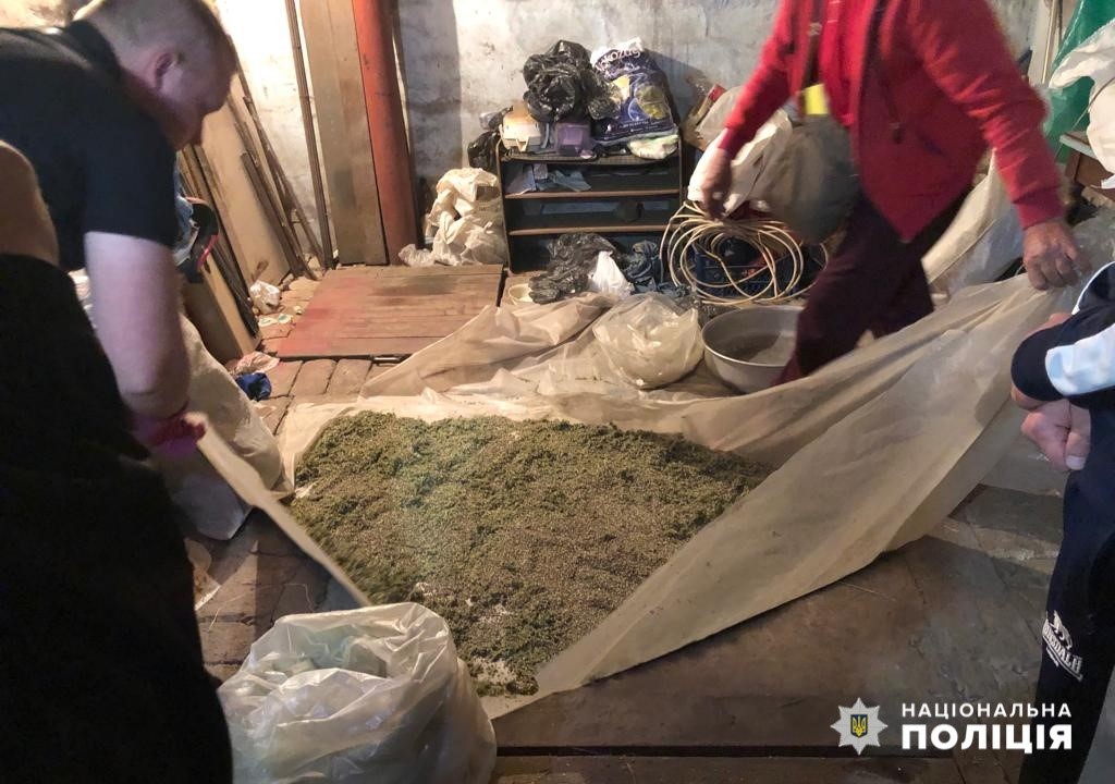 70-річний мешканець Кам’янського району висадив понад 5 тисяч рослин конопель