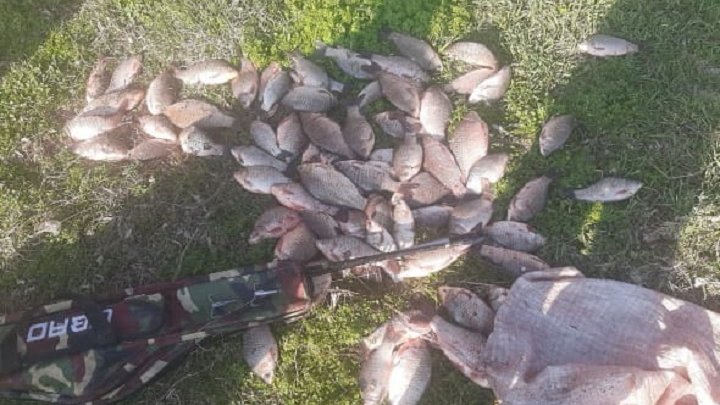 За вересень рибоохоронці Дніпропетровщини викрили порушення на понад мільйон гривень збитків