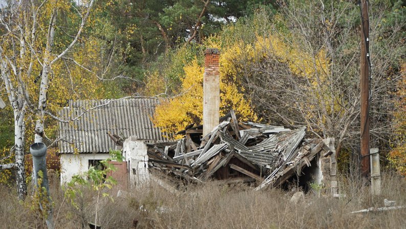 Лісництво на Дніпропетровщині понад півтора року обстрілює армія рф
