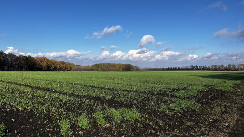Аномально тепла осінь на Дніпропетровщині: що кажуть синоптики та як вплине на роботу аграріїв