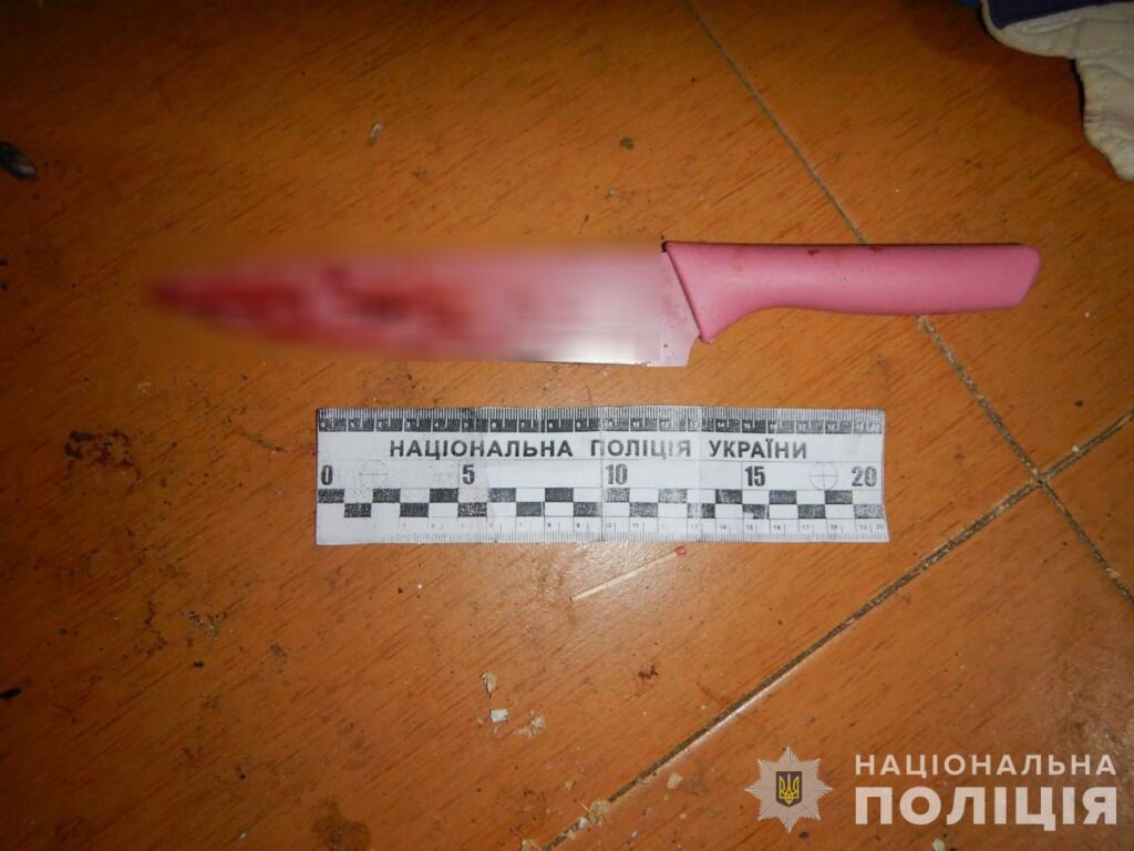 За вбивство співмешканця у Дніпрі затримали 19-річну жінку