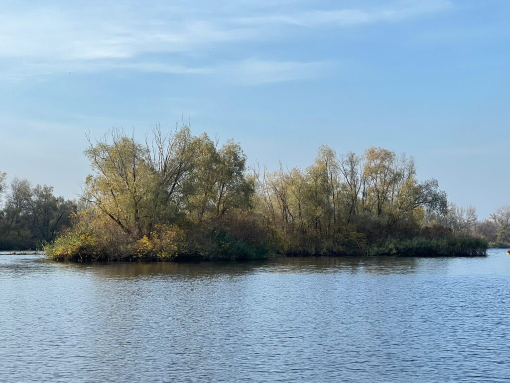 Прокуратура Дніпропетровщини повертає у власність громади острів у Самарській затоці (відео)
