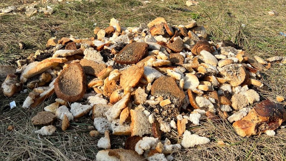 На Криворіжжі місцеві жителі виявили звалище хліба (відео)